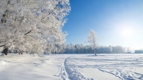 Laden Sie Ihren Körper im Winter mit Energie auf!